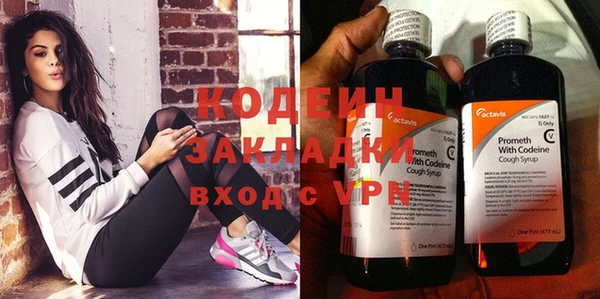 шишки Лагань