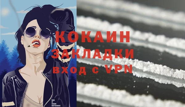 шишки Лагань