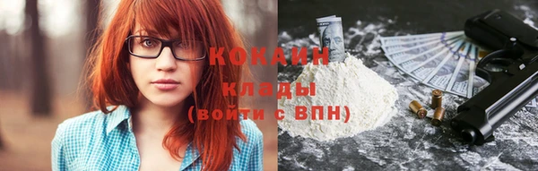 шишки Лагань